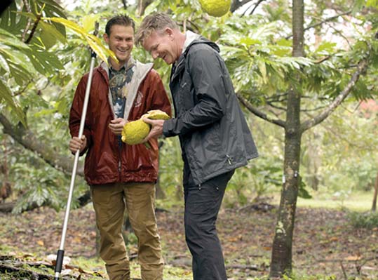 Hana breadfruit captivates Chef Gordon Ramsay in new NatGeo series